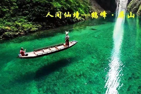 我腌制的芥菜为什么会烂?-有问必答平台,解答你的疑惑